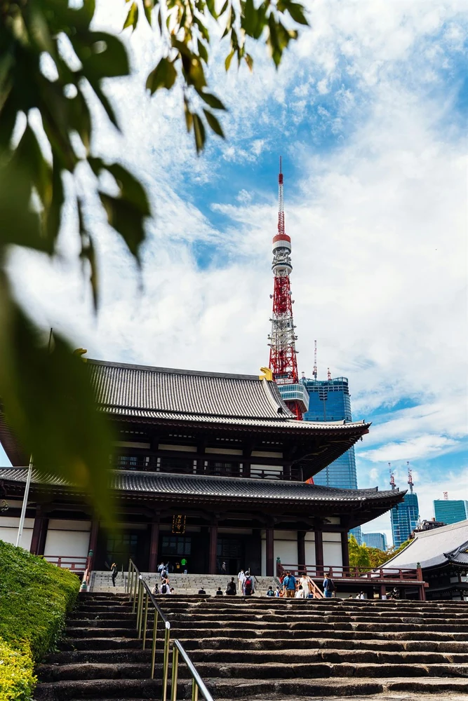 Tokyo city view and temple in Japan